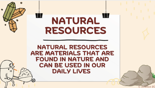 Earth's Natural Resources - Image 3